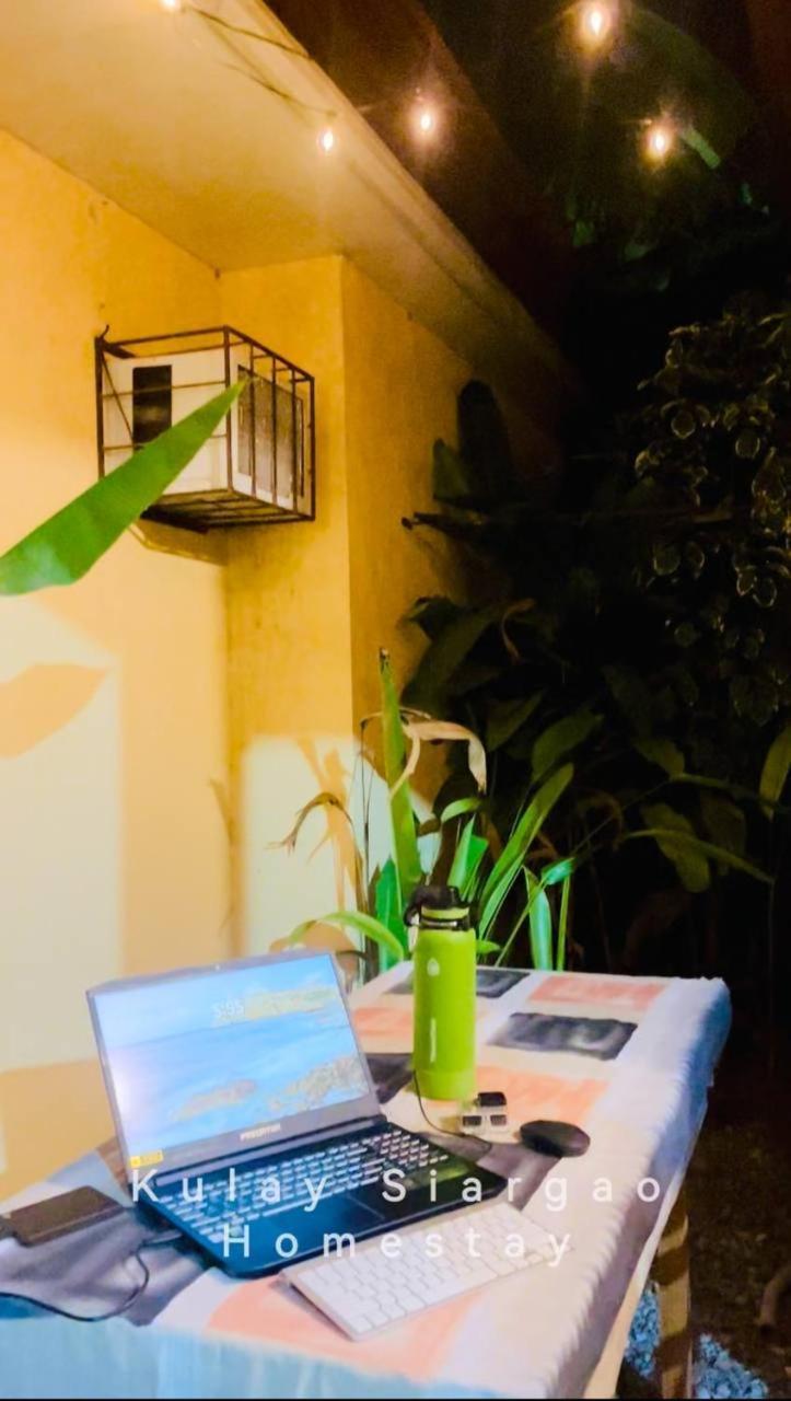 Ameeza Houze Homestay - Siargao General Luna  Zewnętrze zdjęcie