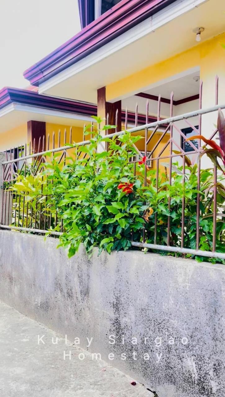 Ameeza Houze Homestay - Siargao General Luna  Zewnętrze zdjęcie